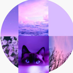 Meet your Posher, Mey